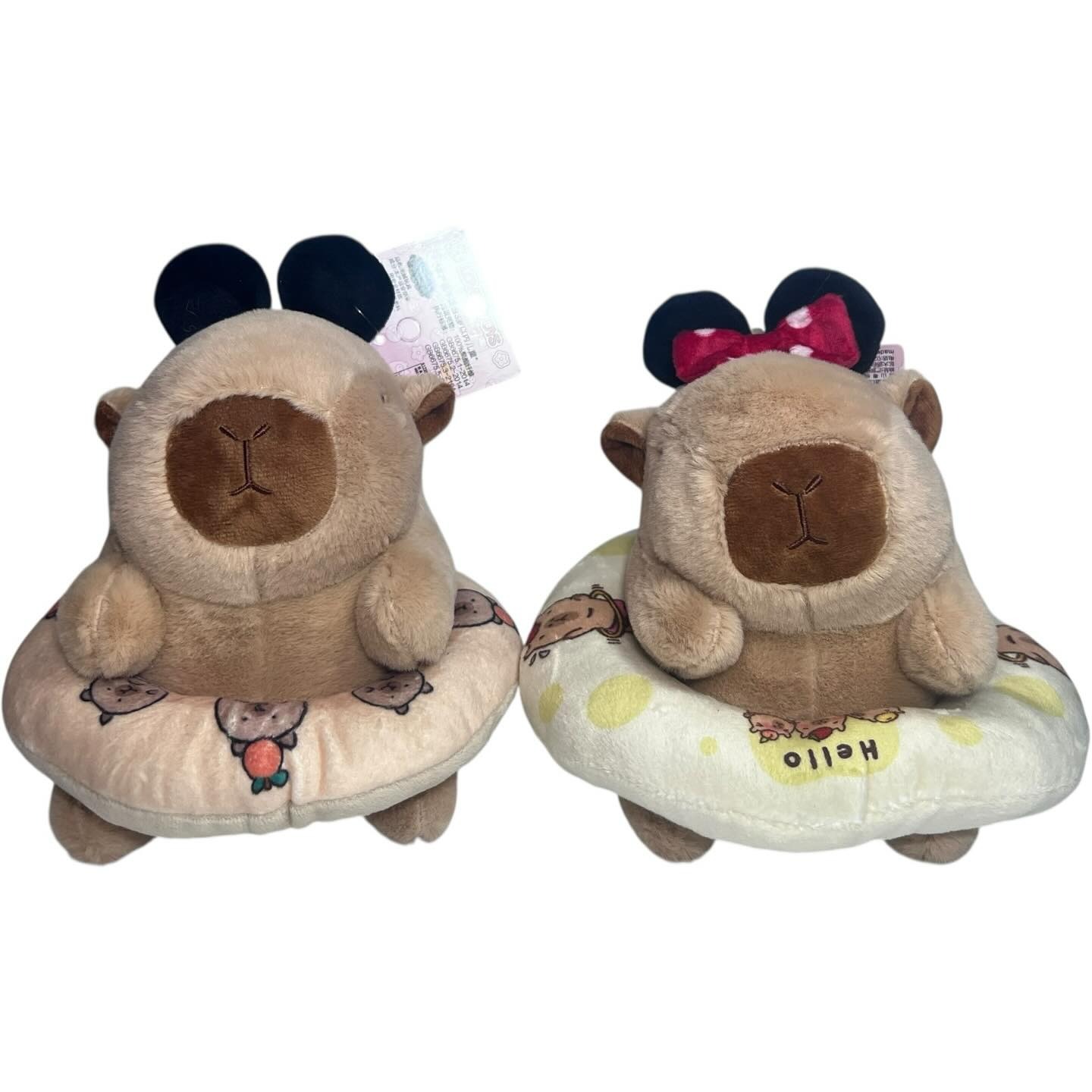 imgi_20_521960891_18150638803386934_2324066419821531387_n